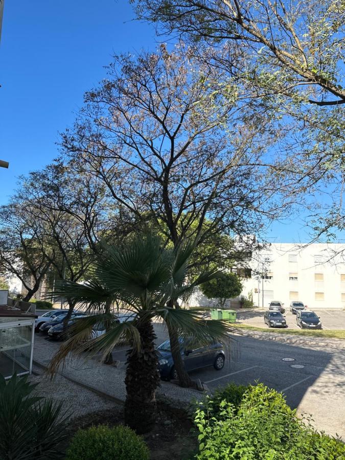 Bellavista Apartment, Free Wi-fi&parking